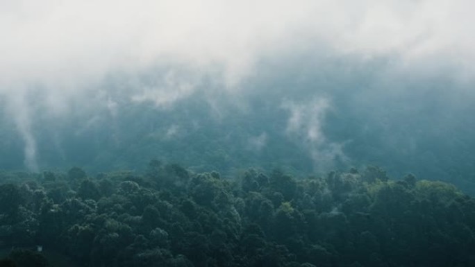 福雷斯特山和太阳照耀秋树的薄雾泰国北部4k史诗般的荣耀灵感徒步旅行和旅游概念