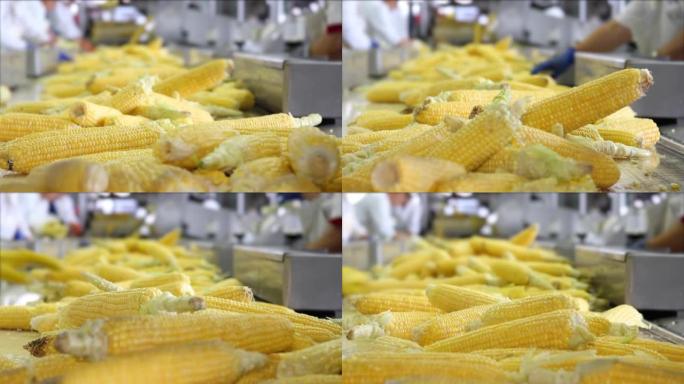 食品工业中的玉米加工