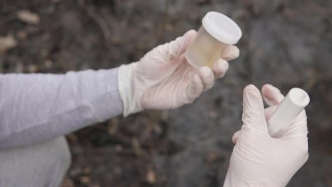 一名戴着医用手套的化学家从沼泽中提取水分析样本进行毒性测试。科学研究，野外实验室的概念。