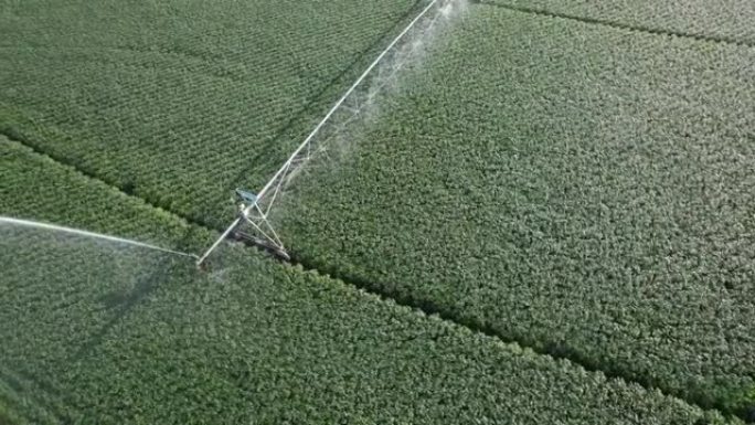 灌溉系统浇灌作物鸟瞰图