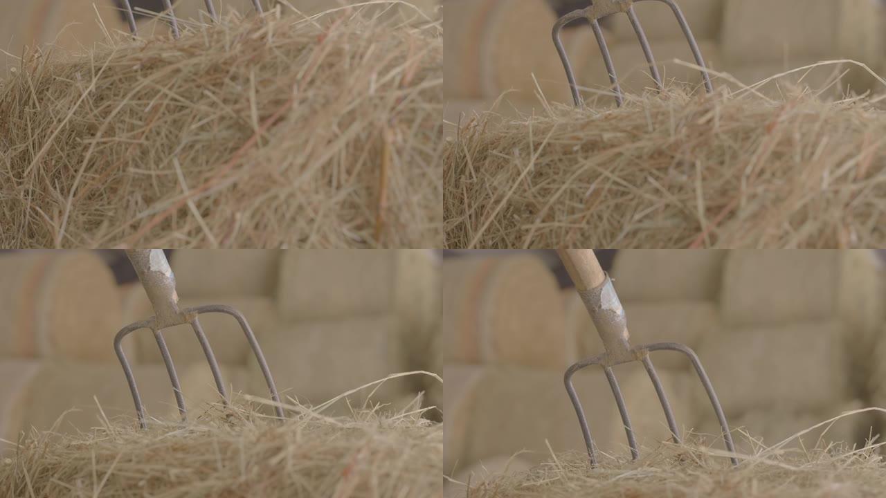 干草堆中的干草叉 (农业设备)，慢动作，背景中的干草堆