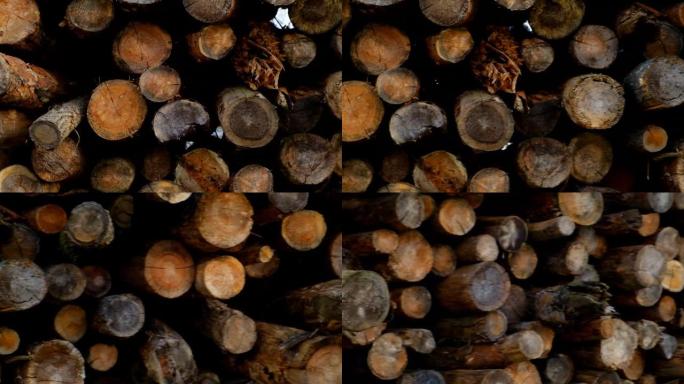 堆积的原木。树干背景。日志特写。树木特写。Biomasse。木材和木材。