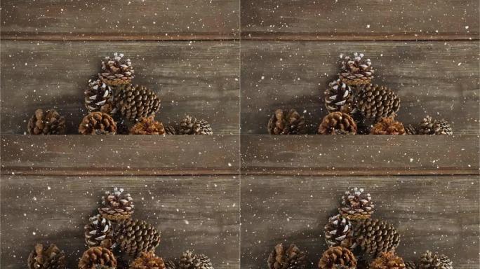 雪落在木板上的松果上的动画