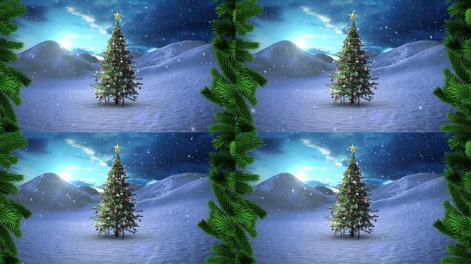 绿色树枝抵御冬季景观上的圣诞树上的积雪