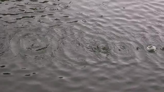 落水的雨滴
