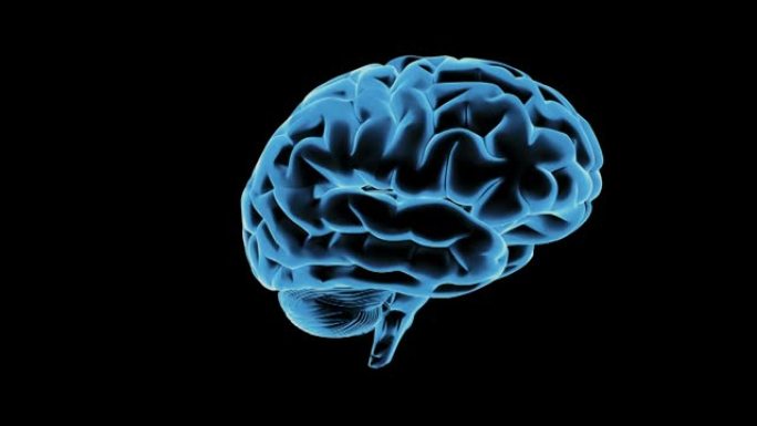 黑色背景上旋转的人脑模型。3D渲染