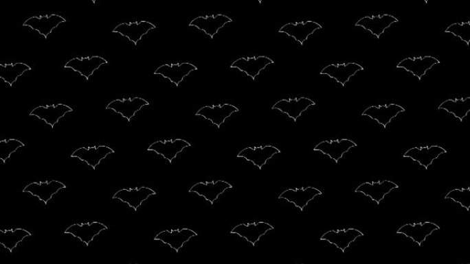 黑色背景上的动画白色细线蝙蝠轮廓图案。万圣节节日运动图形装饰背景
