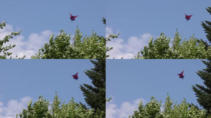 蝴蝶形风筝在夏天的蓝天中飞翔