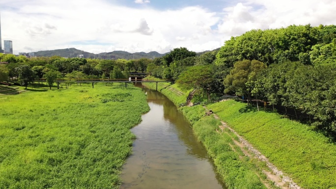 深圳 福田河 中心公园