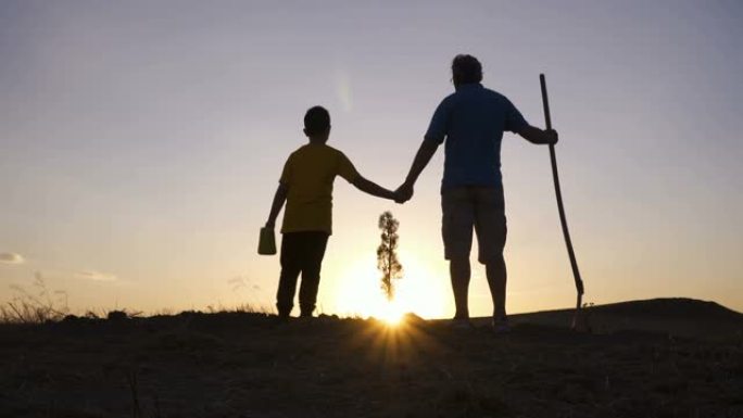 种下一棵树后，父亲和儿子一起看日落