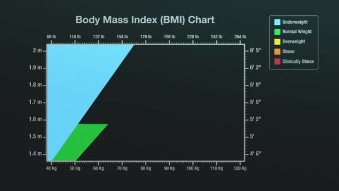 体重指数图表