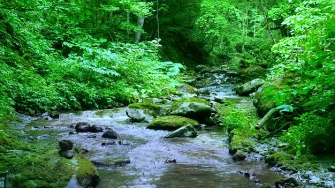 日本北海道山溪山涧溪流小溪