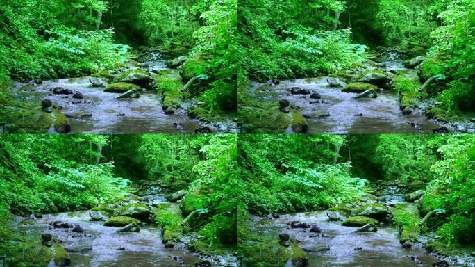 日本北海道山溪山涧溪流小溪