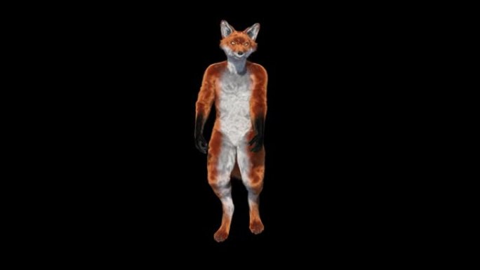 3d cosplay狐狸角色跳舞，动画，透明背景