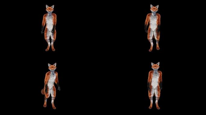 3d cosplay狐狸角色跳舞，动画，透明背景