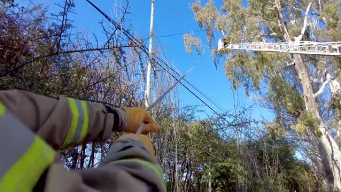 消防员在树木救援中抓住绳索。