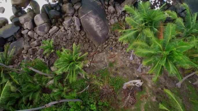 鸟瞰图无人机摄像机在蓝色海洋绿松石海面上的海岸岩石顶部惊人的海浪撞击岩石海景鸟瞰图无人机4k高质量海