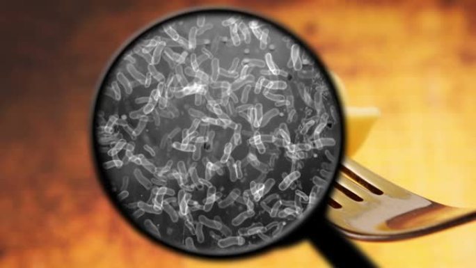 寻找食物中的细菌