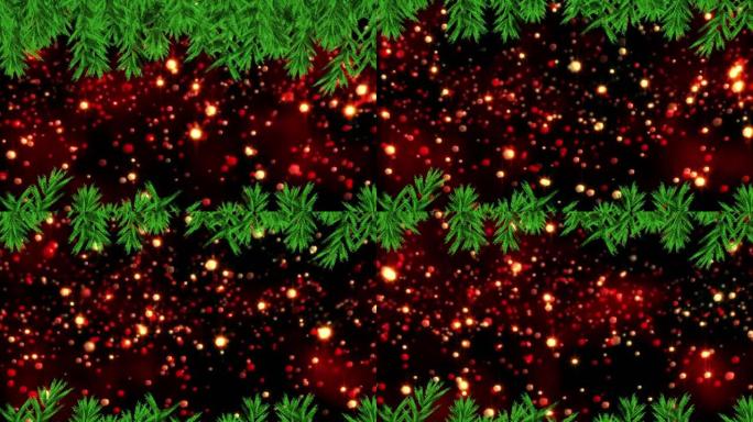 在黑色背景下漂浮的红色光斑上的圣诞树树枝