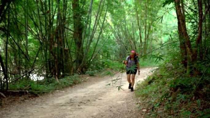 冒险女人集中精力散步，独自徒步旅行，夏天在热带森林里去山顶，一棵感觉挑战和兴奋的竹树