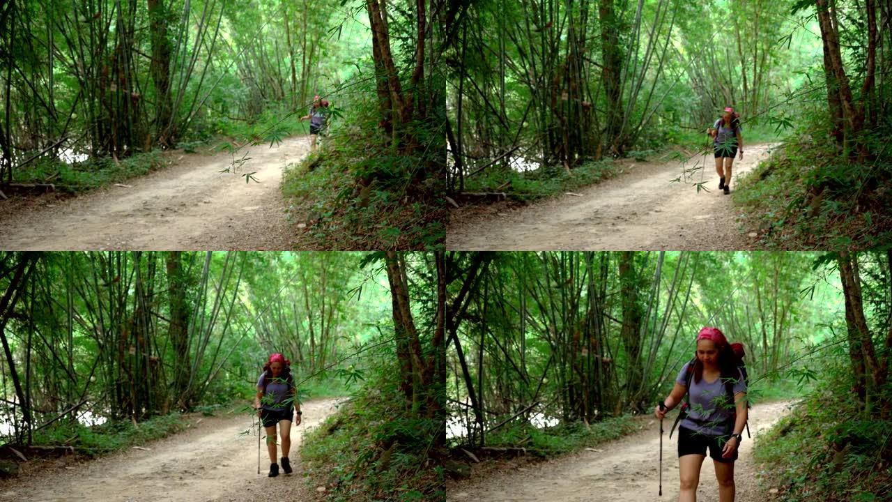 冒险女人集中精力散步，独自徒步旅行，夏天在热带森林里去山顶，一棵感觉挑战和兴奋的竹树