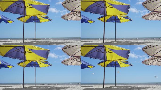 夏日的海景。五彩太阳伞立在排空的沙滩上。海鸥悠闲地沿着海岸漫步。旅行的抽象自然背景。