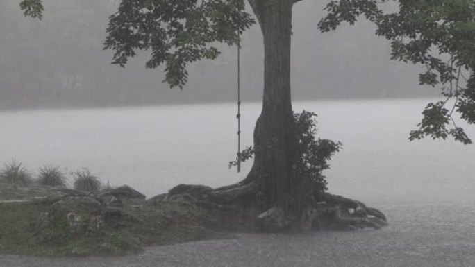 雨中悬挂在逗号树上的琴弦，朦胧的灰色气氛，黑暗而紧张