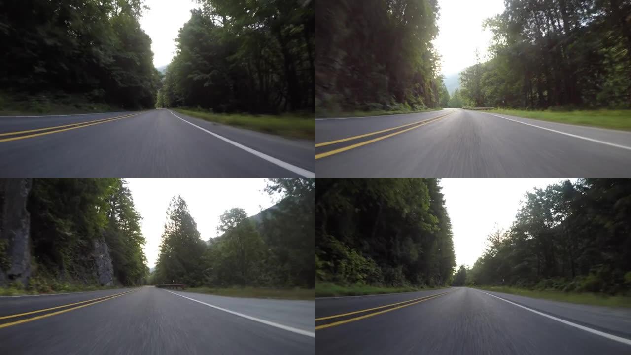 崎岖不平的行驶穿过绿树成荫的道路