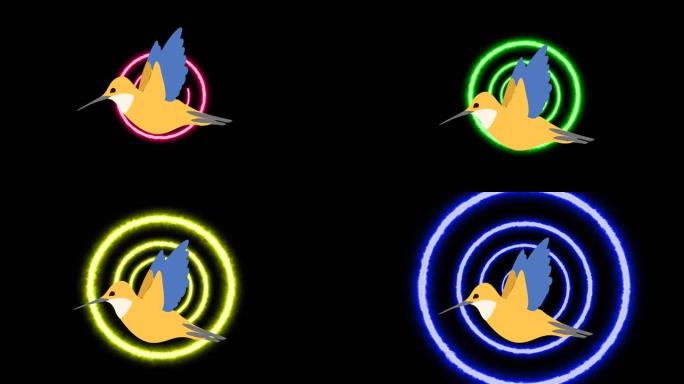 黑色背景上霓虹灯圈上的鸟动画
