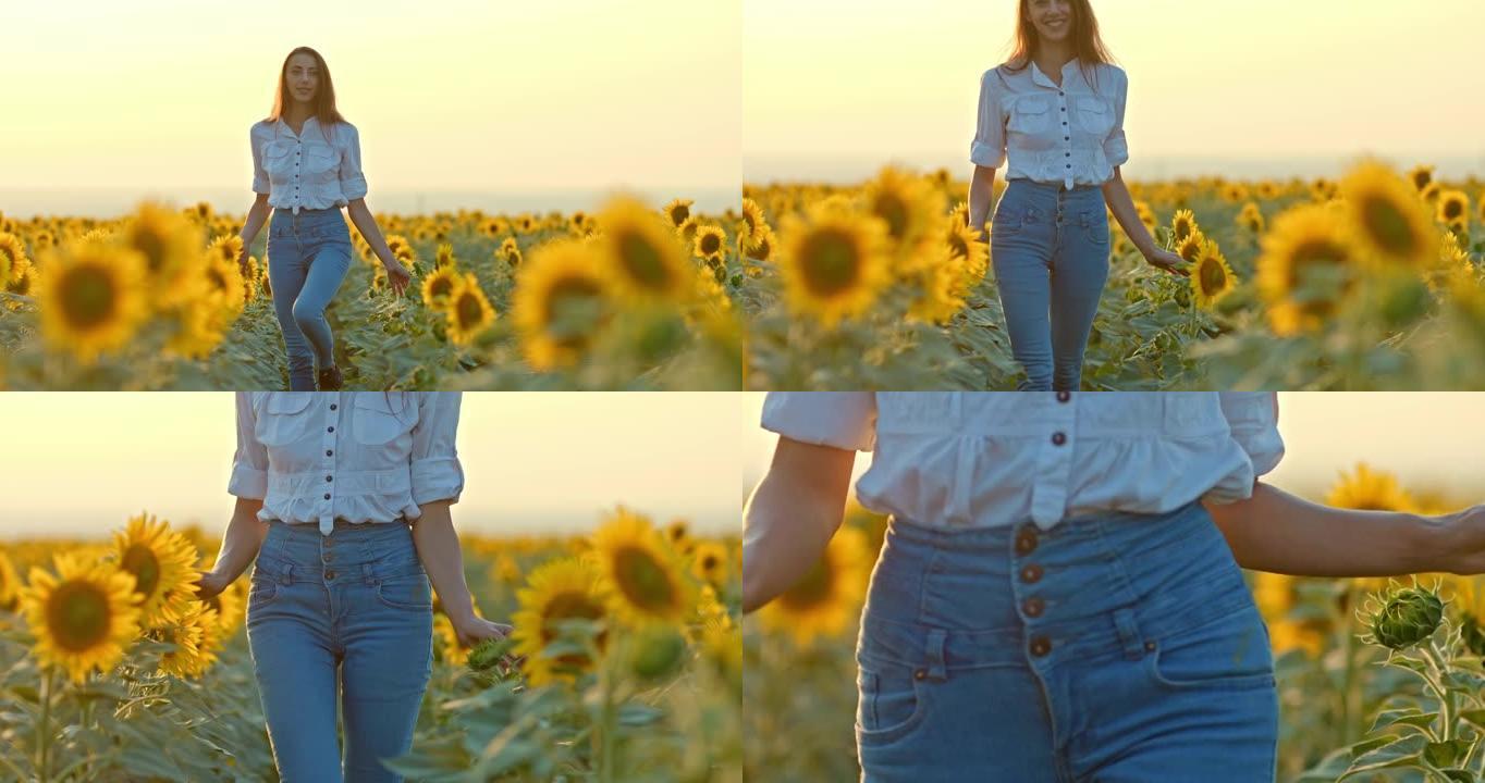 可爱的年轻女子带着向日葵和微笑走过一片盛开的田野。美丽的女人走过一望无际的田野，鲜花成排。女人进入电