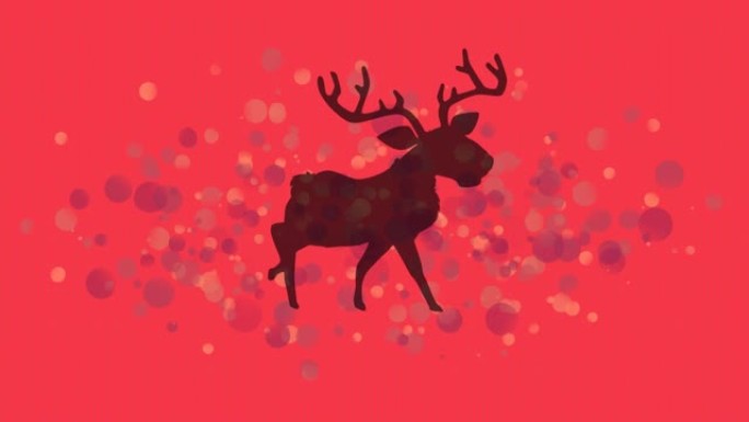 红色背景上的驯鹿动画