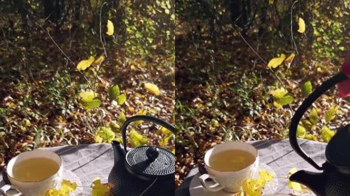 秋天在树林里的茶话会