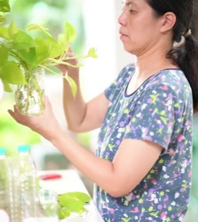 妇女在家中种植盆栽植物以维持可持续生活