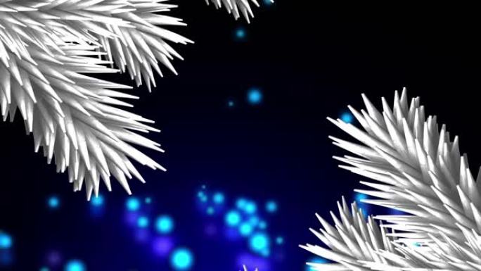 白色圣诞树树枝上的蓝色斑点落在黑色背景下