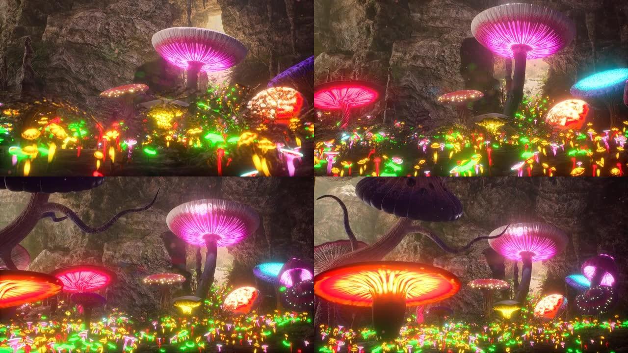 神秘的神奇洞穴，有神奇的发光生长的蘑菇。神奇神秘蘑菇的概念。该动画非常适合童话，幻想，冒险和魔术背景