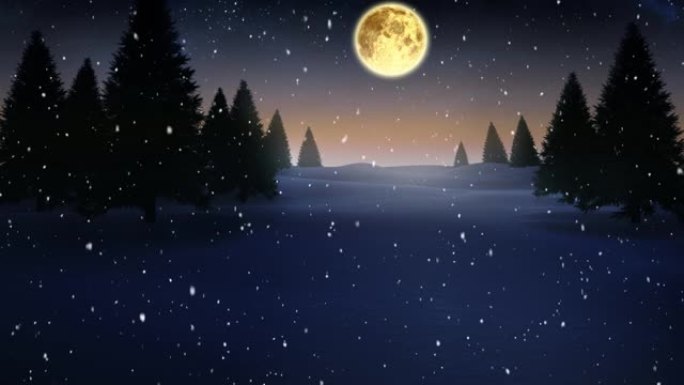 雪落在冬天的风景上，树木在夜空中对着月亮