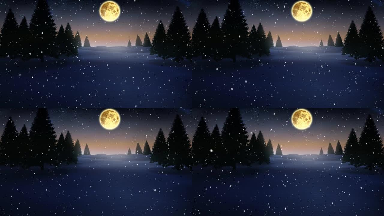 雪落在冬天的风景上，树木在夜空中对着月亮