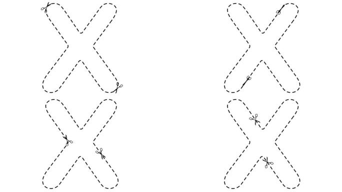 字母。剪刀刻字的酷动态动画。虚线。网站、广告和游戏用alpha频道的4k动画。