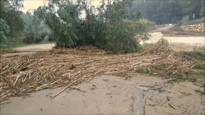 暴雨过后快速流河