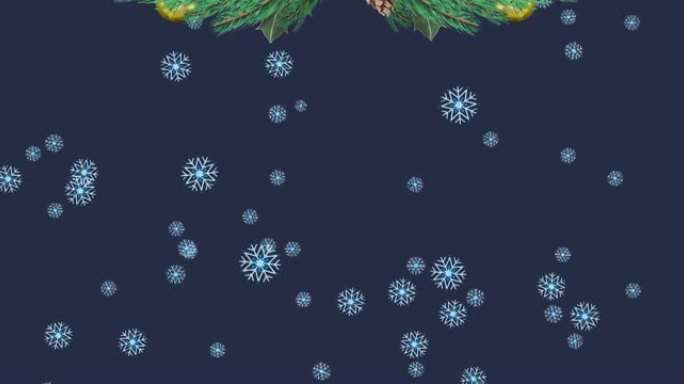 杉木树枝在黑暗背景上的积雪上的动画