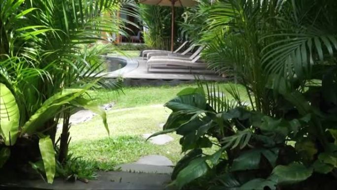 别墅内美丽的花园充满了热带风情的植物和花朵。高清视频