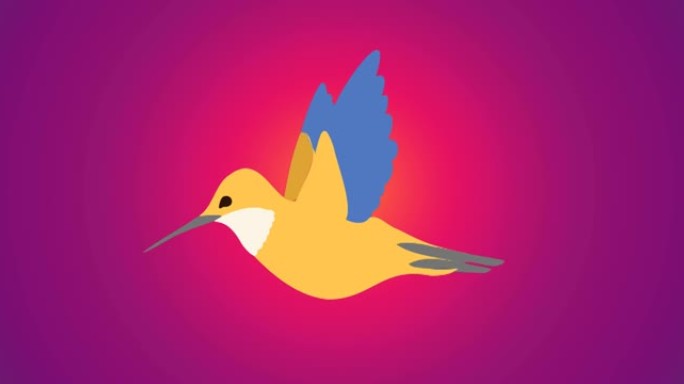 紫色背景上的鸟的动画