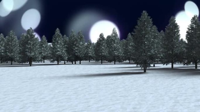 冬季景观上的多棵树与黑色背景上的白色光点