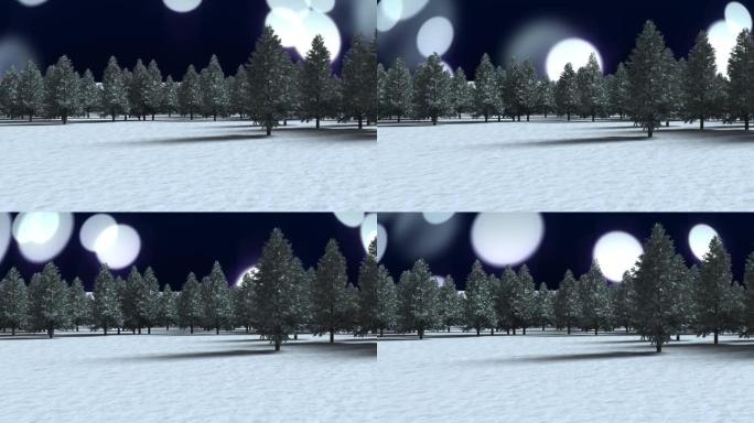 冬季景观上的多棵树与黑色背景上的白色光点