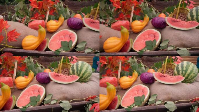 秋收节有水果，南瓜西瓜白菜和五颜六色的花朵。秋季乡村风格的设计。