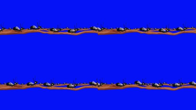 许多在蓝色屏幕上无缝循环的树枝上有翅膀的蚂蚁