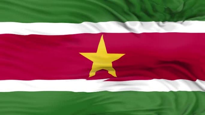 苏里南国旗挥舞着3D动画。苏里南国旗在风中飘扬。苏里南国旗。国旗无缝循环动画。