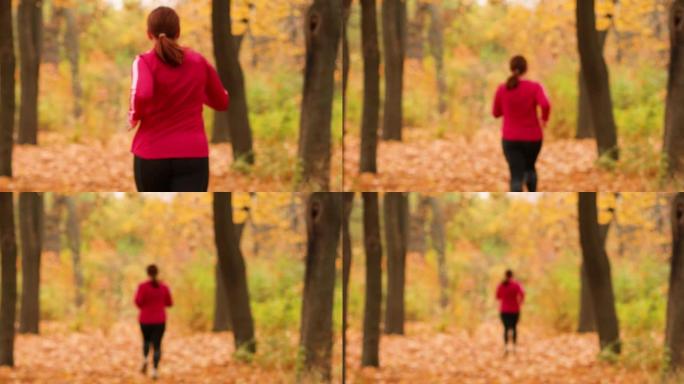 后方胖女孩做有氧慢跑在秋天森林的城市公园马拉松和健身。