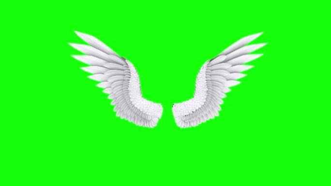 天使之翼动画循环股票视频