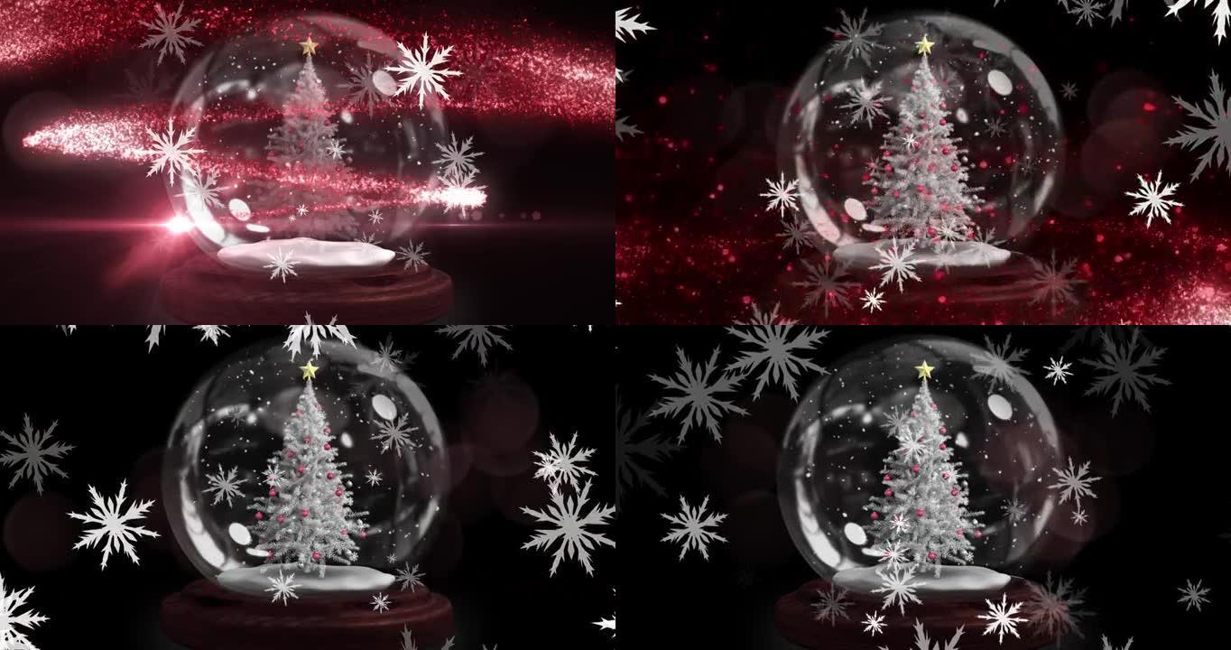 黑色背景上有树的圣诞雪花落在雪球上的动画